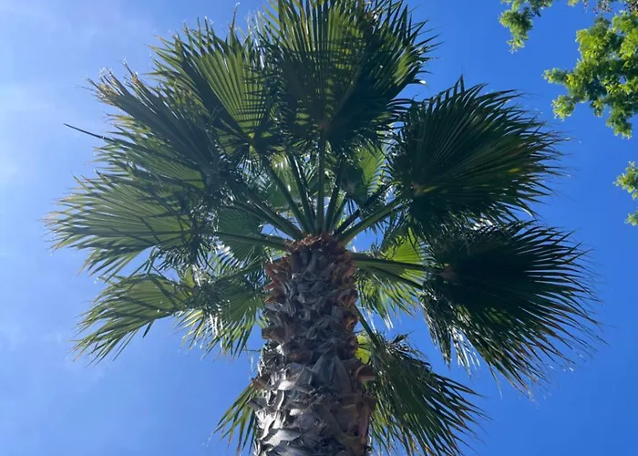 La Bastide D'aiguebelle * Le Lavandou
